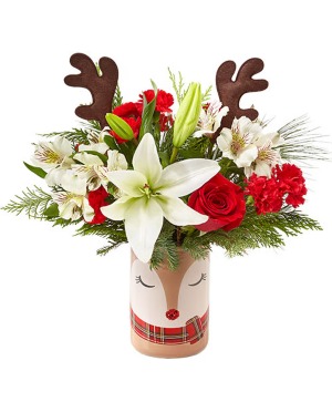 Reindeer 