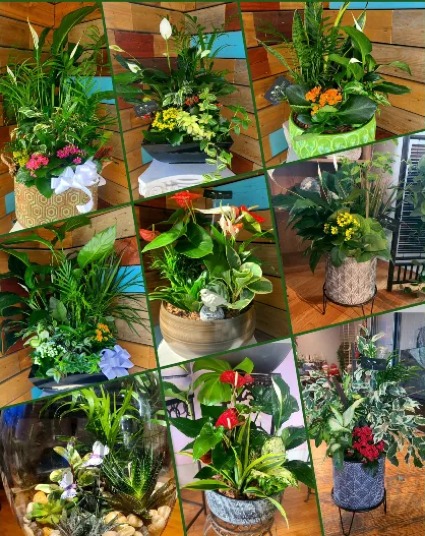 Unique planters planter