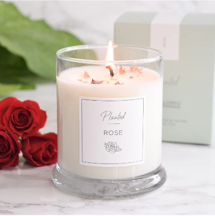 Relaxing Rose Planted Candle 
