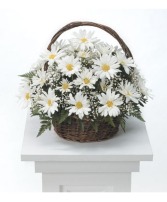 Remembering  Daisy  Funeral Flowers