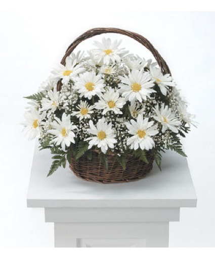 Remembering  Daisy  Funeral Flowers