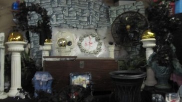 rental crypt scene call for aval  in Renton, WA | Alicia's Wonderland II