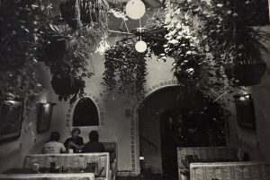 Restaurant Live Plants Plant Maintenance