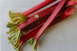 Rhubarb Greenhouse
