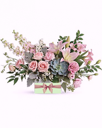 Romance Luxury Collection