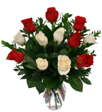 Romance Roses- short stems Roses