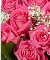Rooting for you- pink roses