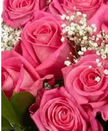 Rooting for you- pink roses