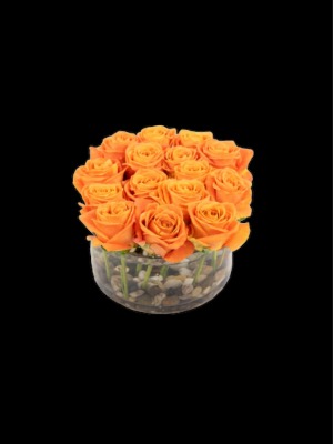 Rose Queen 