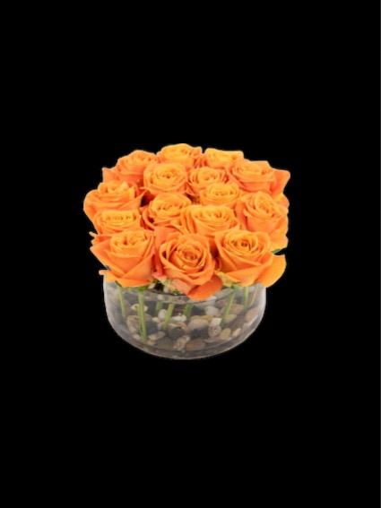 Rose Queen 