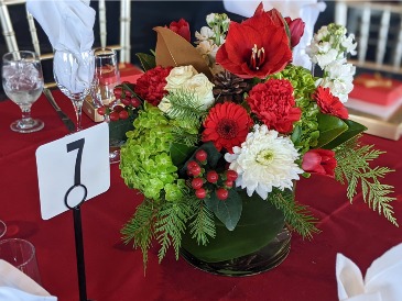 Ardent Amaryllis  Christmas arrangement in San Rafael, CA | BURNS FLORIST