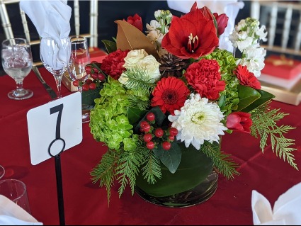 Ardent Amaryllis  Christmas arrangement
