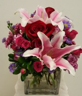 Rose and babyrose 17-01-25-11 