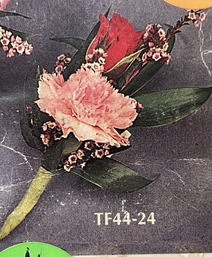 Rose and Carnation Corsage  Corsage