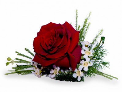 Rose Boutonniere 