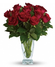 Rose Classique - Dozen Red Roses 