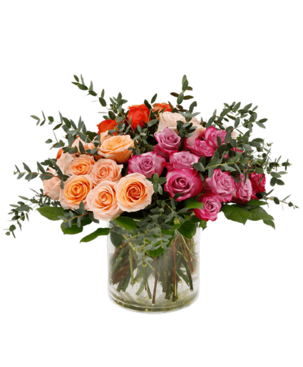 Rose Delight 