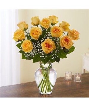 Arrangement of 12 Yellow Roses 