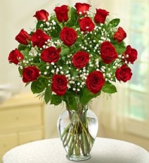 Rose Elegance 