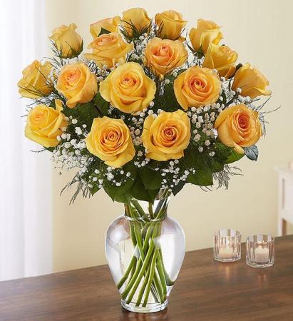 Rose Elegance 
