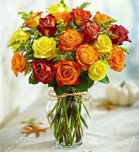 Rose Elegance Premium Long Stem Autumn Roses everyday