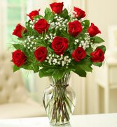 Rose Elegance Premium Long Stem Red Roses One Dozen