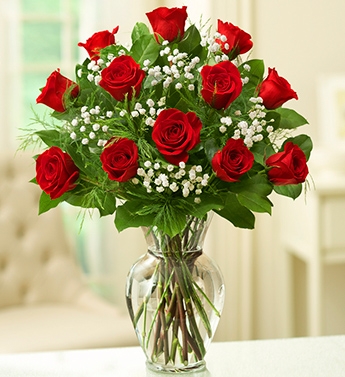 Rose Elegance Premium Long Stem Red Roses One Dozen