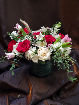 rose garden compact low