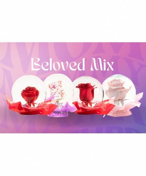 Rose Globe Lasting Rose Globe