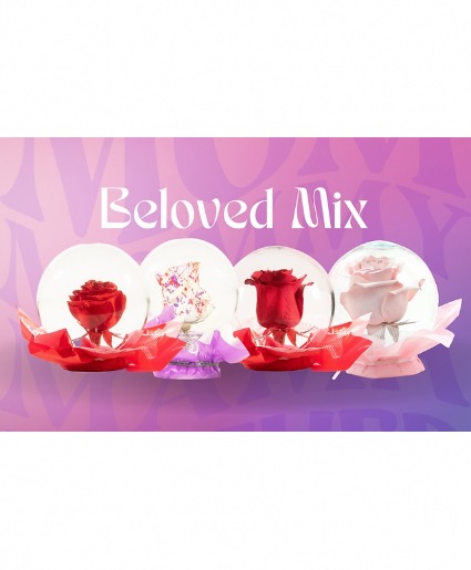 Rose Globe Lasting Rose Globe
