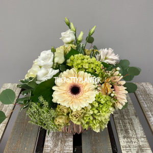 Champagne Posie  