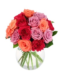 Roses from OTTO FLORIST & GIFTS - your local Ware, MA Florist & F