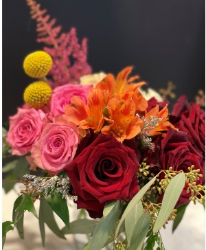 Rose Mixed everyday