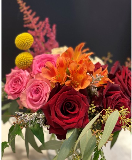 Rose Mixed everyday