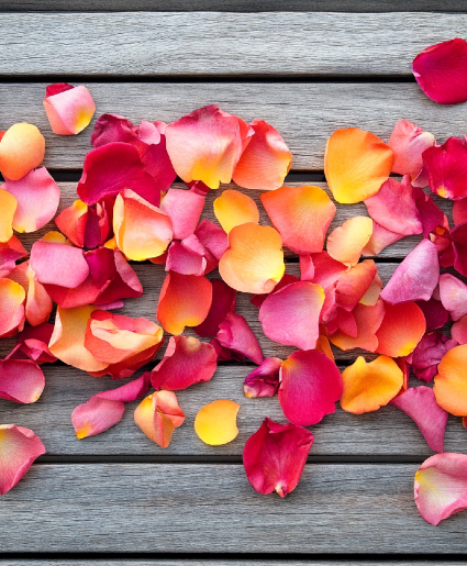 Rose Petals 