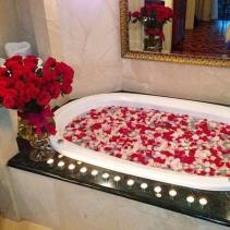 ROSE PETALS 