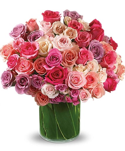 Rose Rapture 