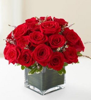 ROSE ROMANCE 