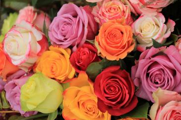 Rose Special  Wrapped Special - vase not included in Henrico, VA | WG Miller Creations Florist Studio