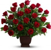 Rose Tribute Funeral Arrangement