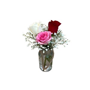 ROSE TRIO 