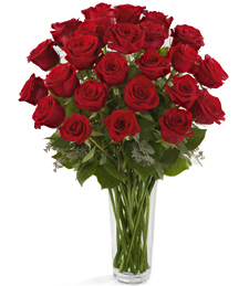 Roses and Romance Two Dozen Roses 