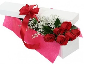 Roses BOXED- 6 ct (half dozen) 