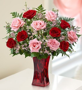 Roses Dozen Roses