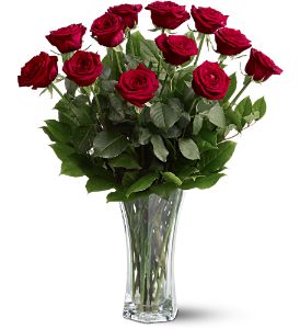Classic Dozen Roses Fresh Roses