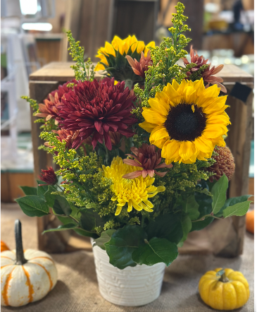 Round Arrangement in Ceramic Wheat Pot  in Gilford, NH | Alton Florist