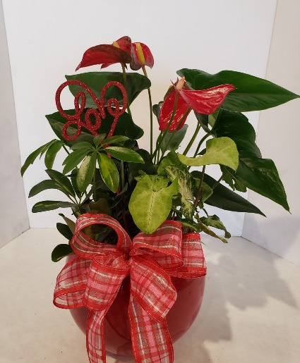 Round Red Planter Plants