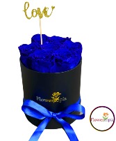 7 Preserved  Blue Roses in a Round Box Preserved Rose Box 