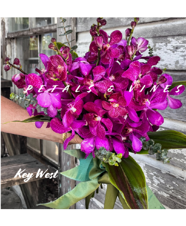Royal Key West Wedding Bouquet in Key West, FL | Petals & Vines