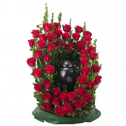 Royal Rose Surround 